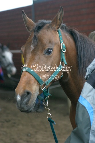 KMR1_1_0626.jpg